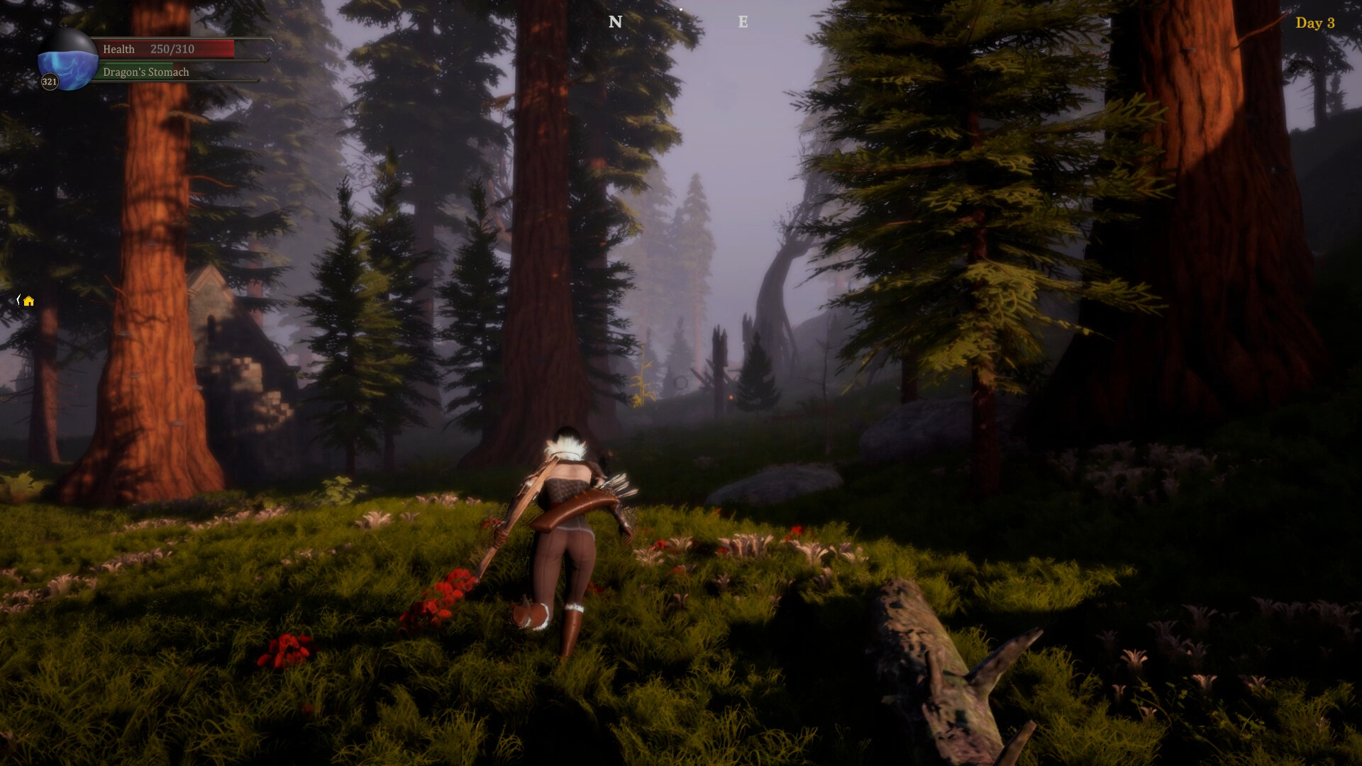 Dragon & Archer screenshot 3