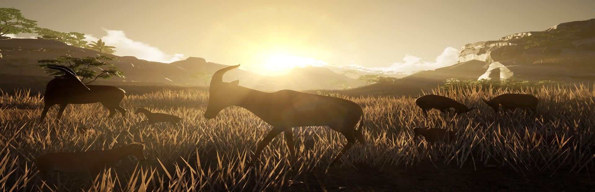 Way Of Animals