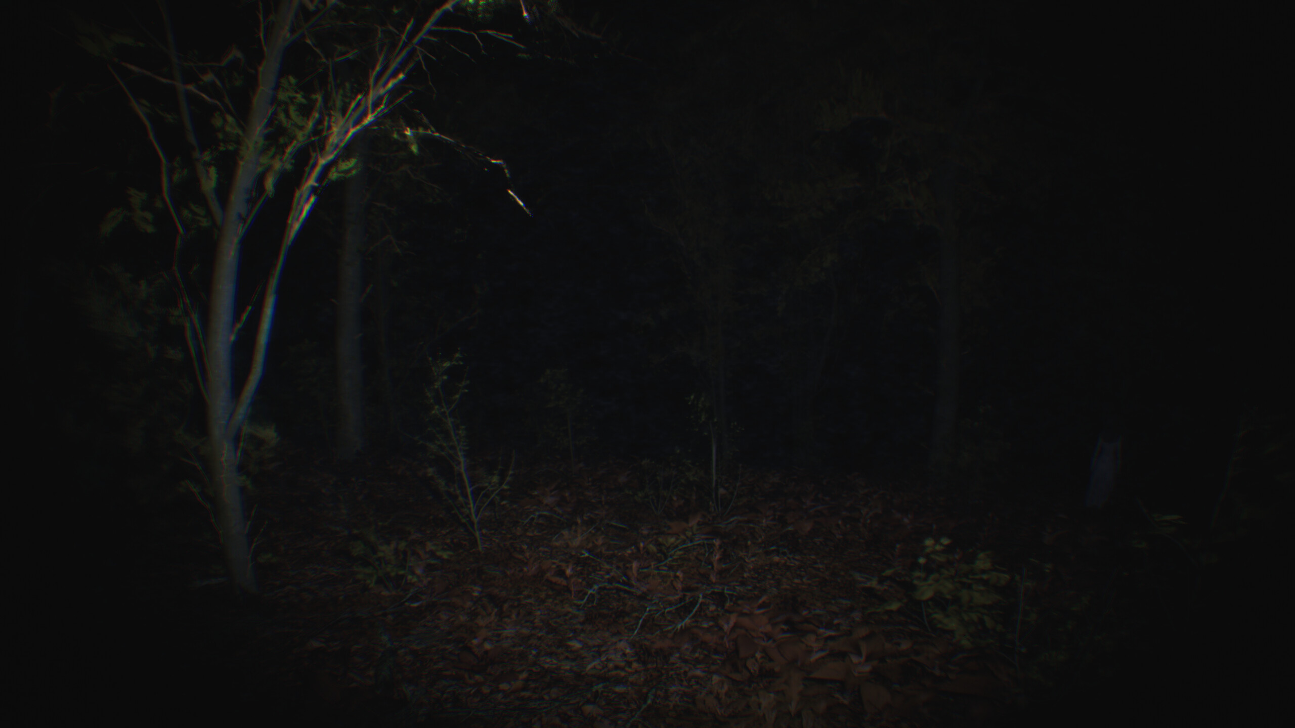 Paranormal Tales screenshot 2