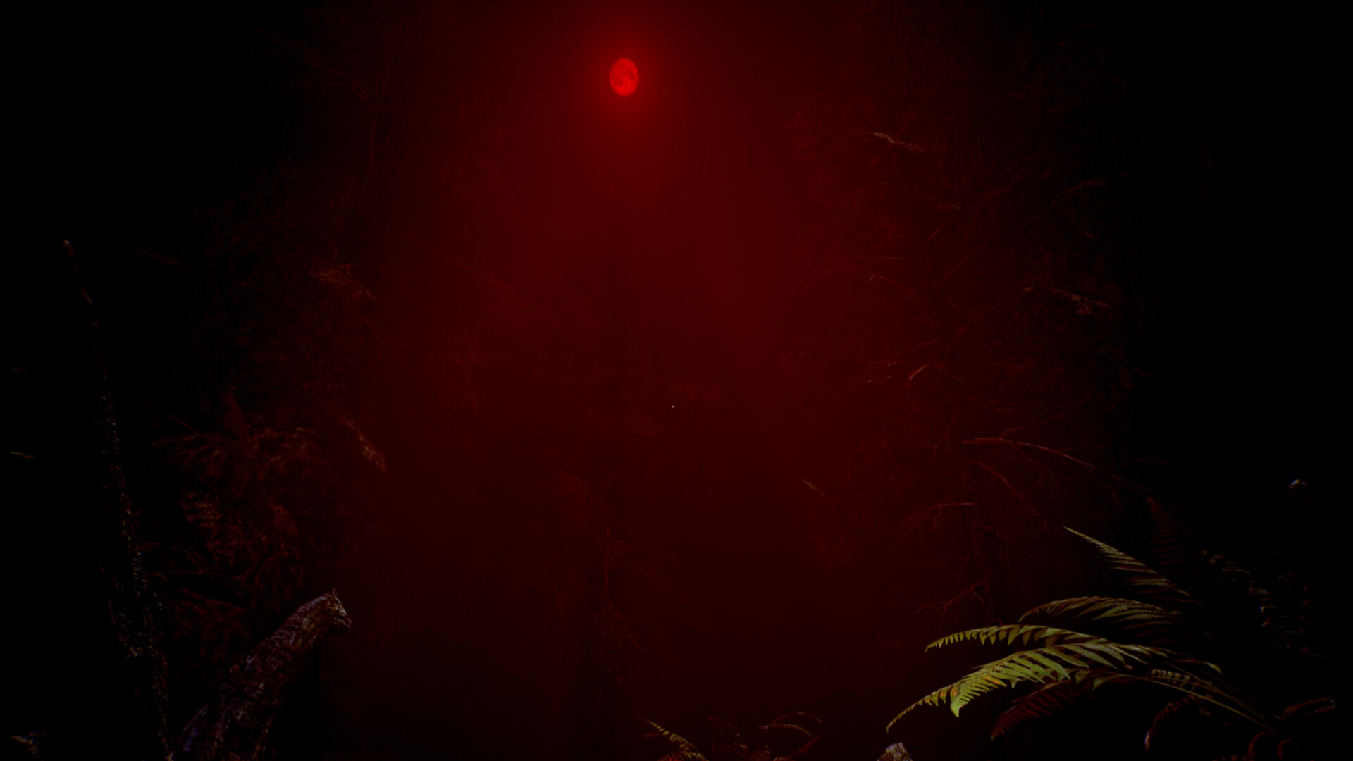 Red Light White Light screenshot 3