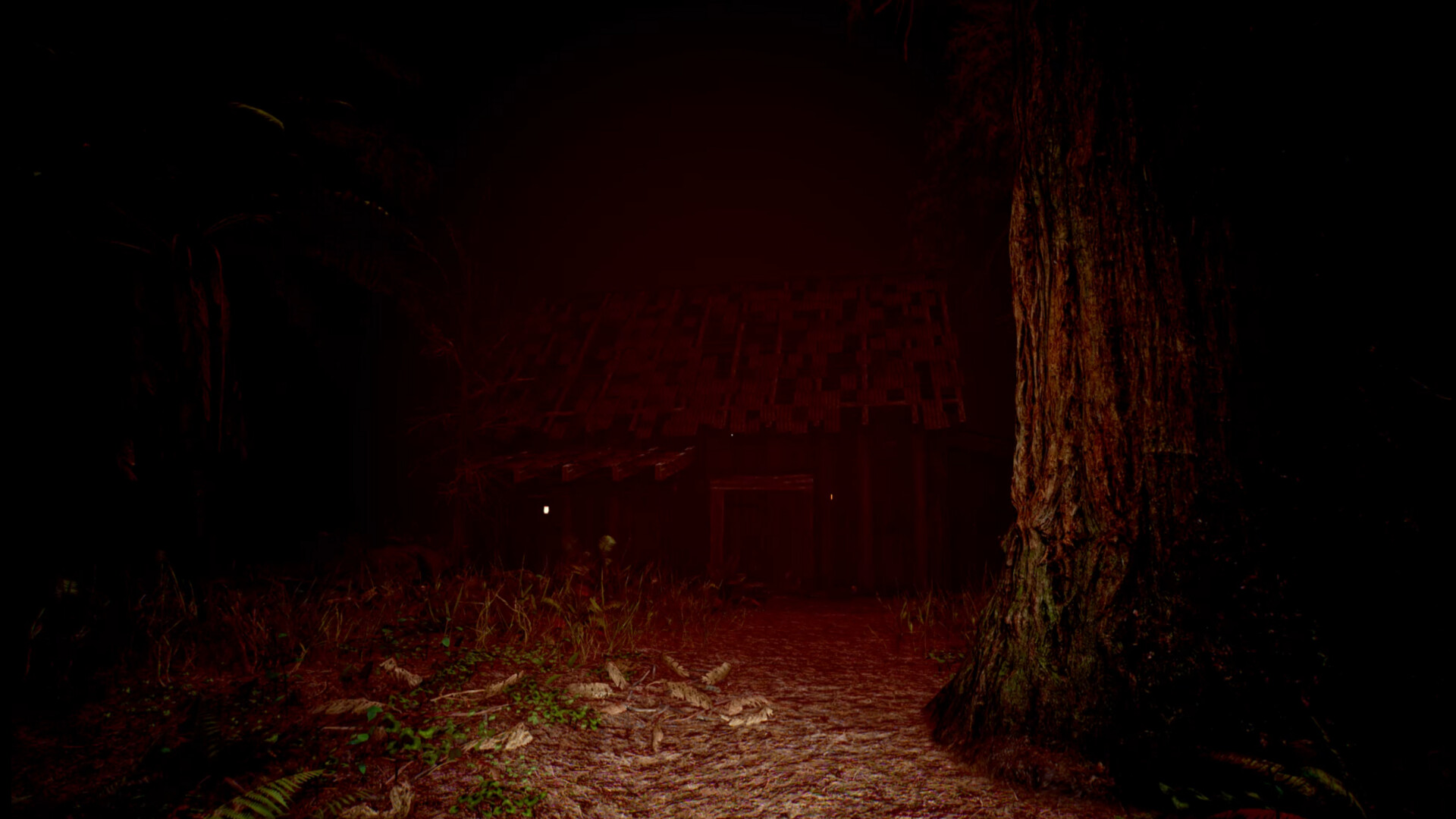 Red Light White Light screenshot 1