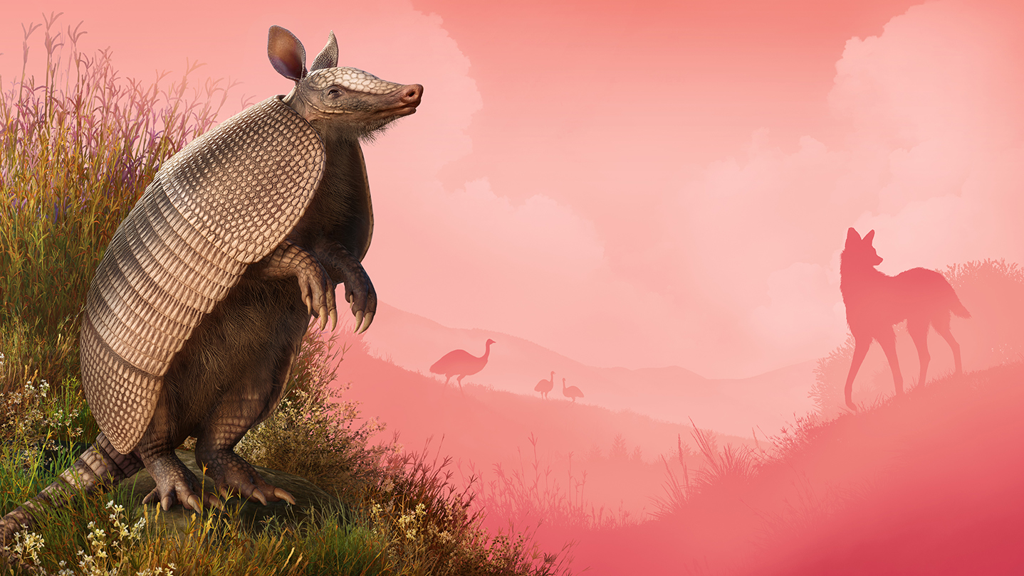 page_bg_raw.jpg?t=1706277050