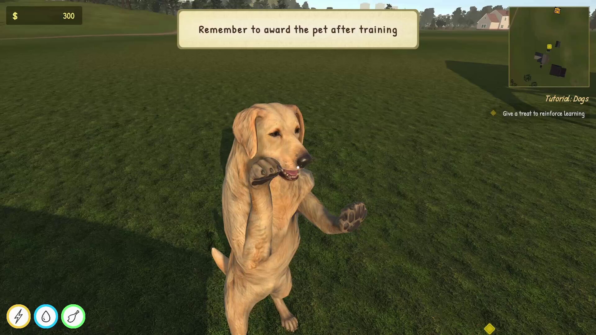 Animal Trainer Simulator screenshot 6