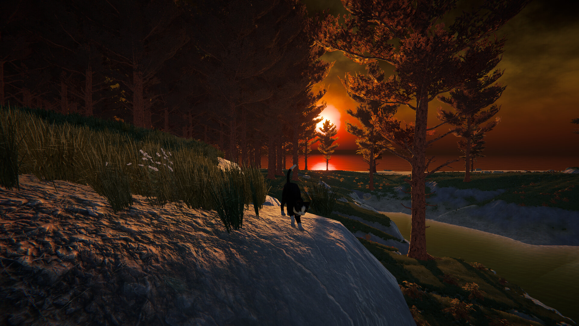 Cat Life screenshot 7