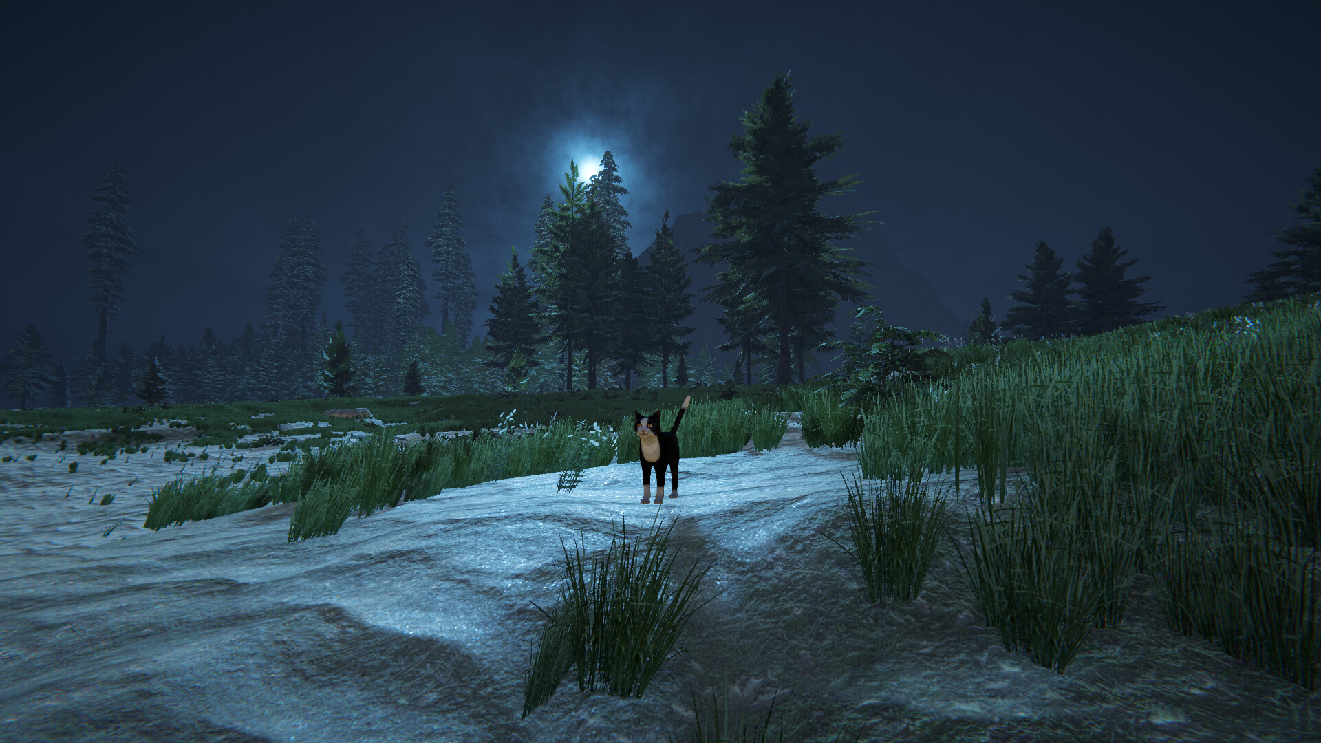 Cat Life screenshot 11