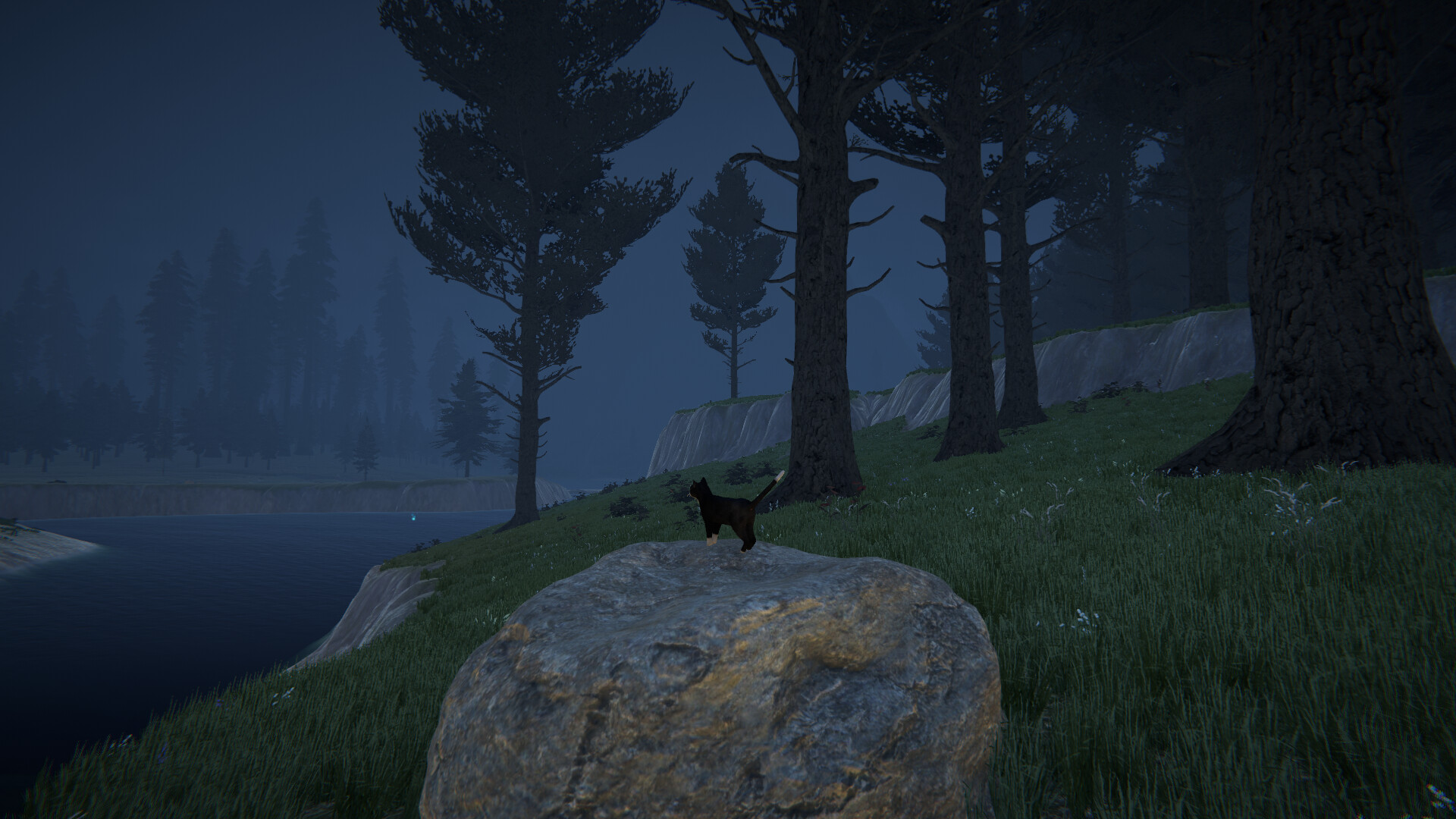 Cat Life screenshot 8