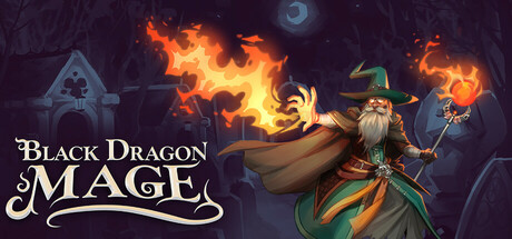 Black Dragon Mage Cover Image