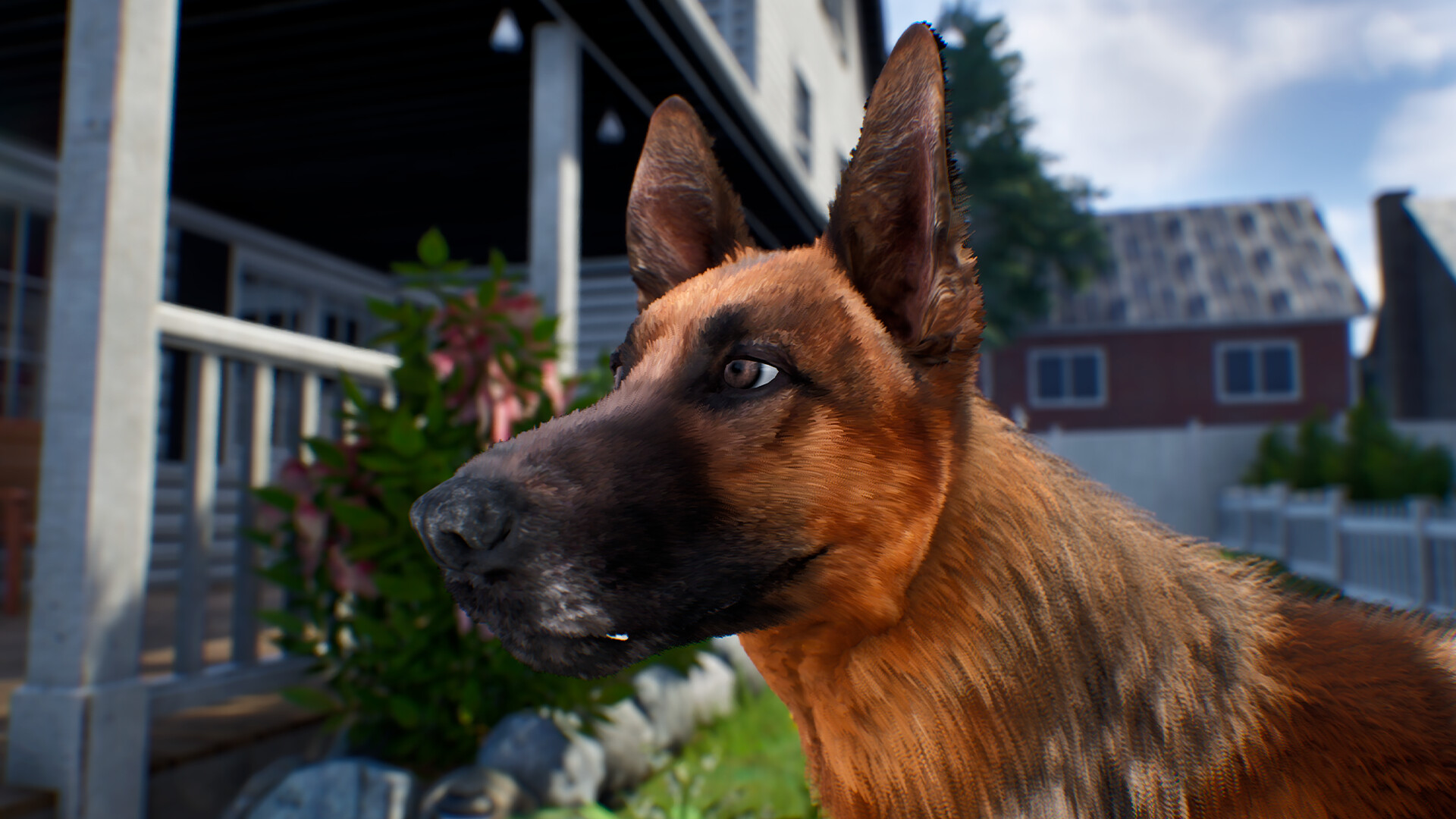 Doggy up! screenshot 15