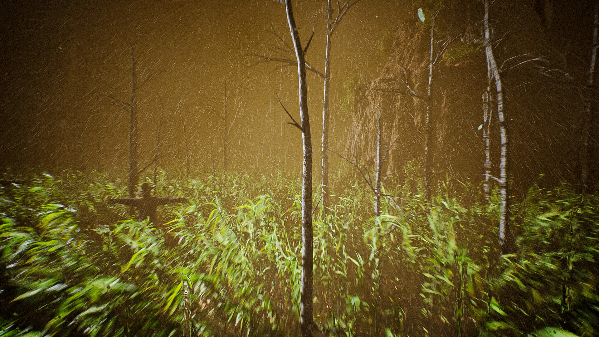 Spotted screenshot 6