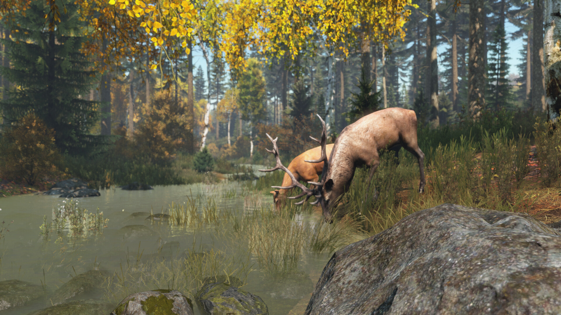 DayZ — изображение 6
