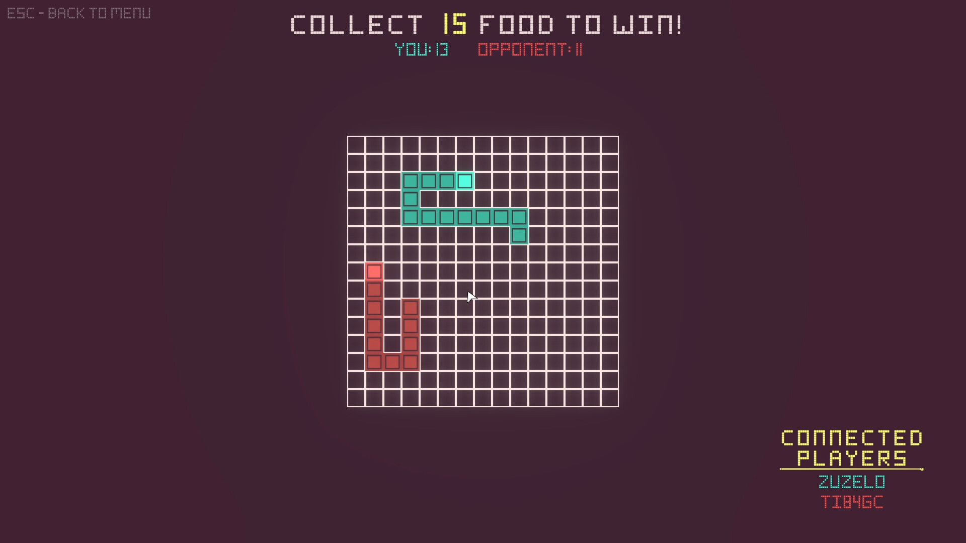 SnekMP screenshot 1