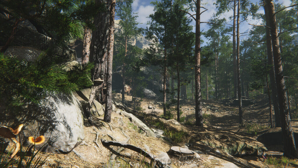 Mushroom Collector Simulator screenshot 9