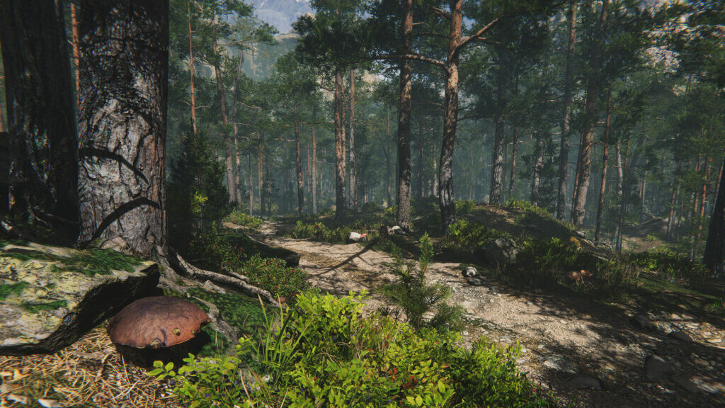 Mushroom Collector Simulator screenshot 7
