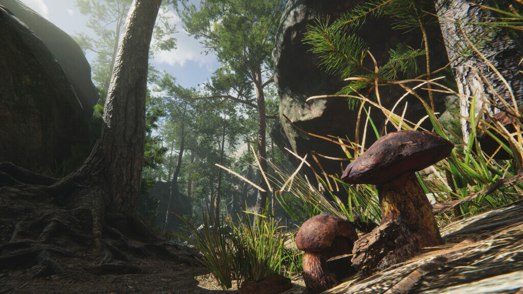 Mushroom Collector Simulator screenshot 3