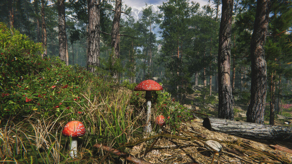 Mushroom Collector Simulator screenshot 8