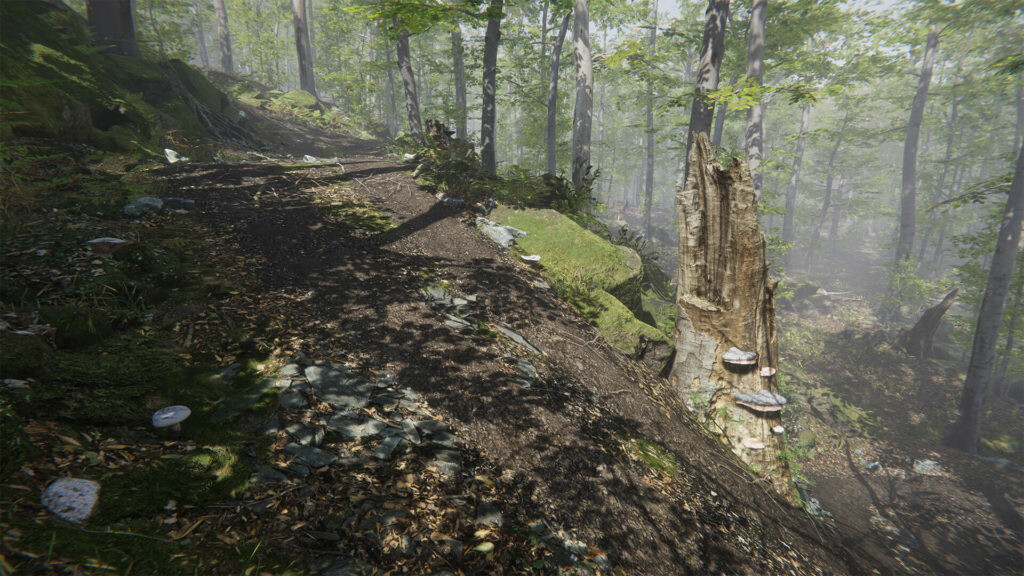 Mushroom Collector Simulator screenshot 5