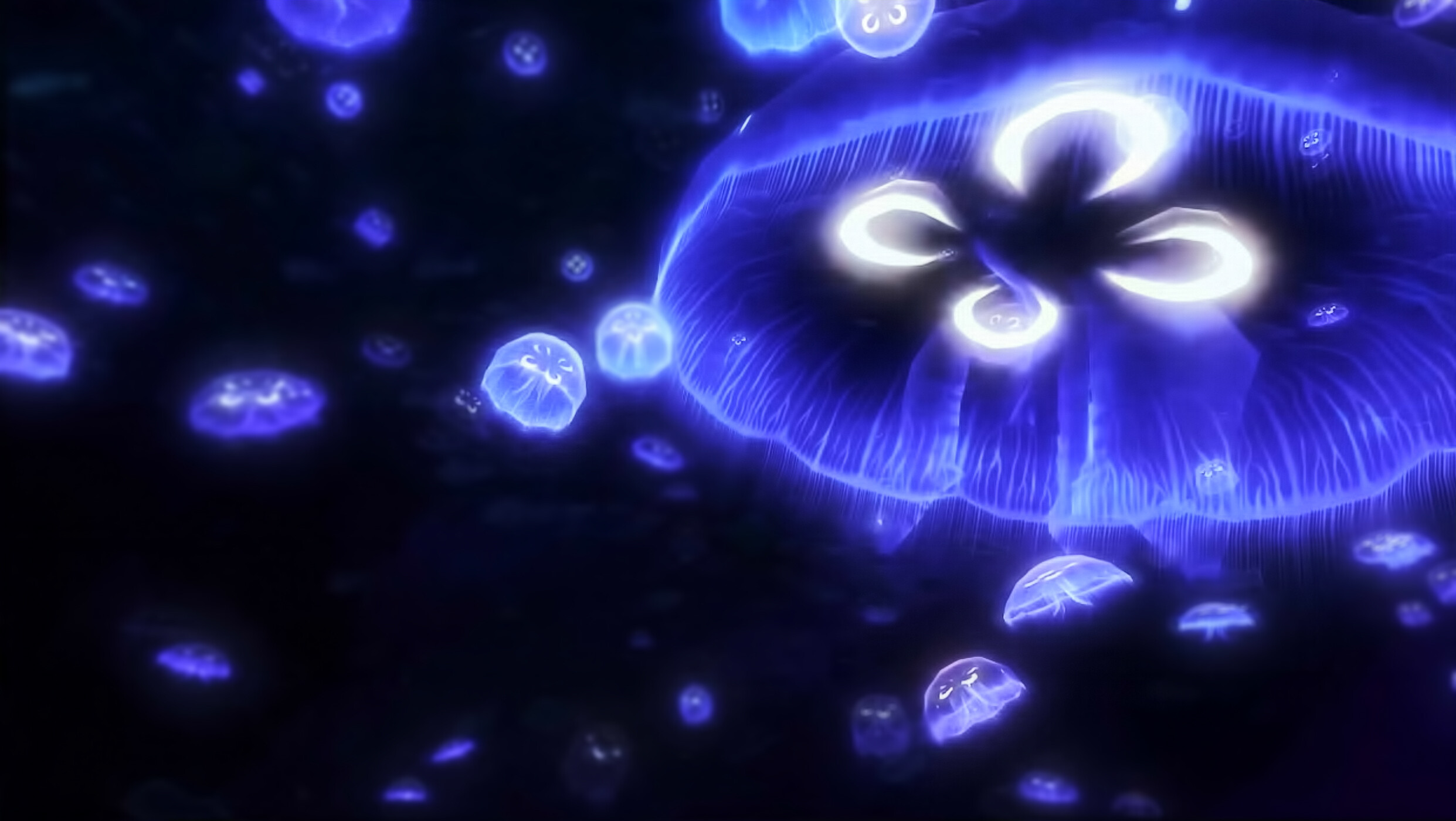 theBlu screenshot 3