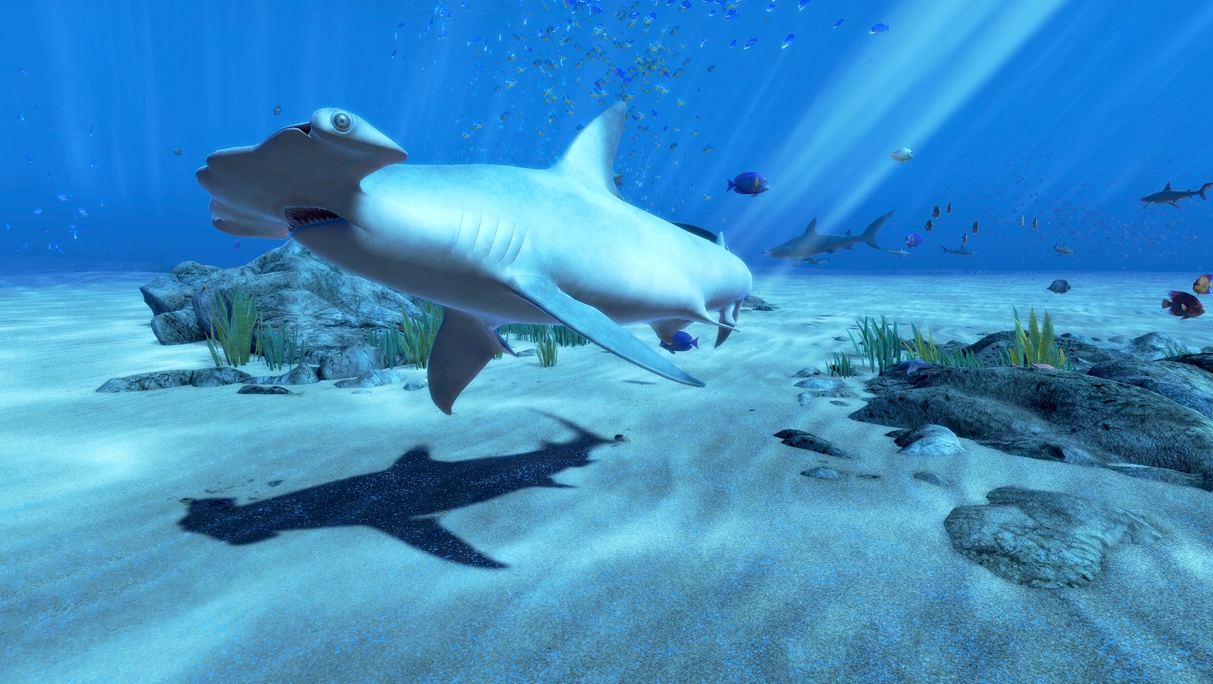 theBlu screenshot 7