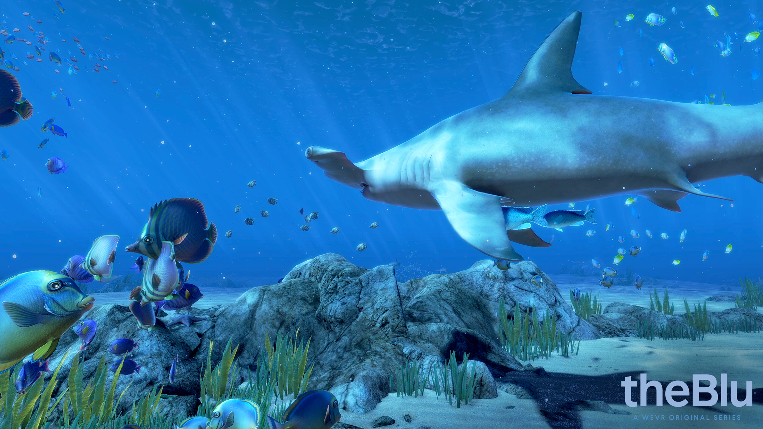 theBlu - Hammerhead Cove screenshot 2