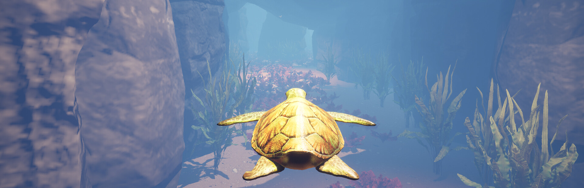 Turtle Racer