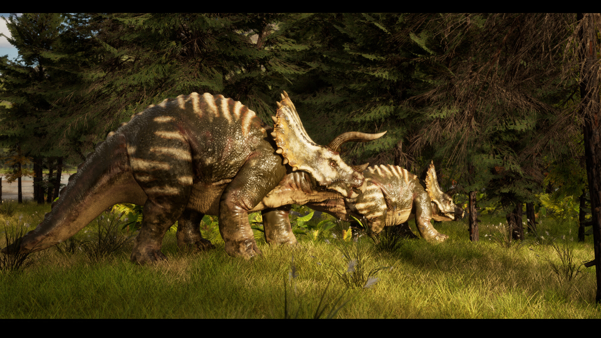 Yomaia screenshot 4