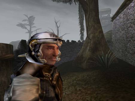 图片[3]-上古卷轴3晨风/上古卷轴3：晨风/The.Elder.Scrolls.III.Morrowind.GOTY.Edition v1.6.0.1820 附完美汉化补丁+热门模组（汉化）-无忧免费游戏网