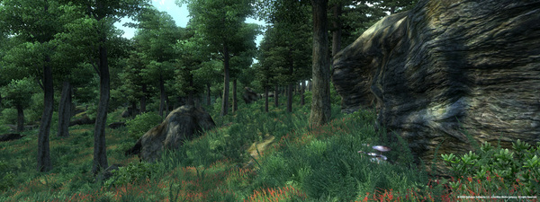 The Elder Scrolls IV: Oblivion® Game of the Year Edition (2009) screenshot