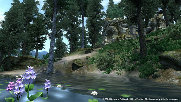 The Elder Scrolls IV: Oblivion® Game of the Year Edition (2009) screenshot