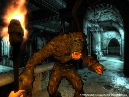 The Elder Scrolls IV: Oblivion® Game of the Year Edition (2009) screenshot