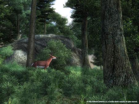 The Elder Scrolls IV: Oblivion® Game of the Year Edition (2009) screenshot