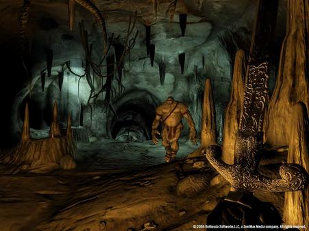 The Elder Scrolls IV: Oblivion® Game of the Year Edition (2009) screenshot