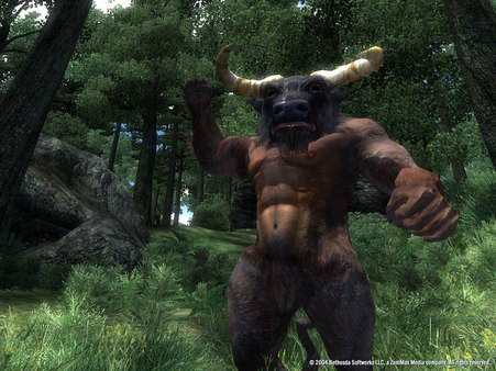 The Elder Scrolls IV: Oblivion® Game of the Year Edition (2009) screenshot