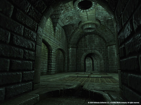 The Elder Scrolls IV: Oblivion® Game of the Year Edition (2009) screenshot