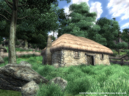 The Elder Scrolls IV: Oblivion® Game of the Year Edition (2009) screenshot