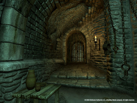 The Elder Scrolls IV: Oblivion® Game of the Year Edition (2009) screenshot