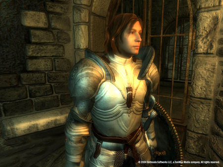 The Elder Scrolls IV: Oblivion® Game of the Year Edition (2009) screenshot