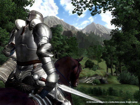 The Elder Scrolls IV: Oblivion® Game of the Year Edition (2009) screenshot