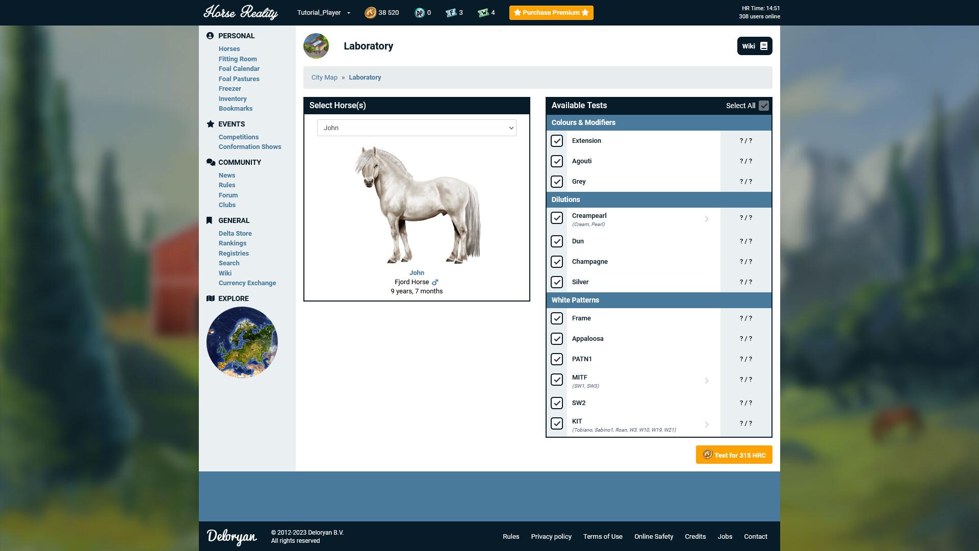 Horse Reality screenshot 4
