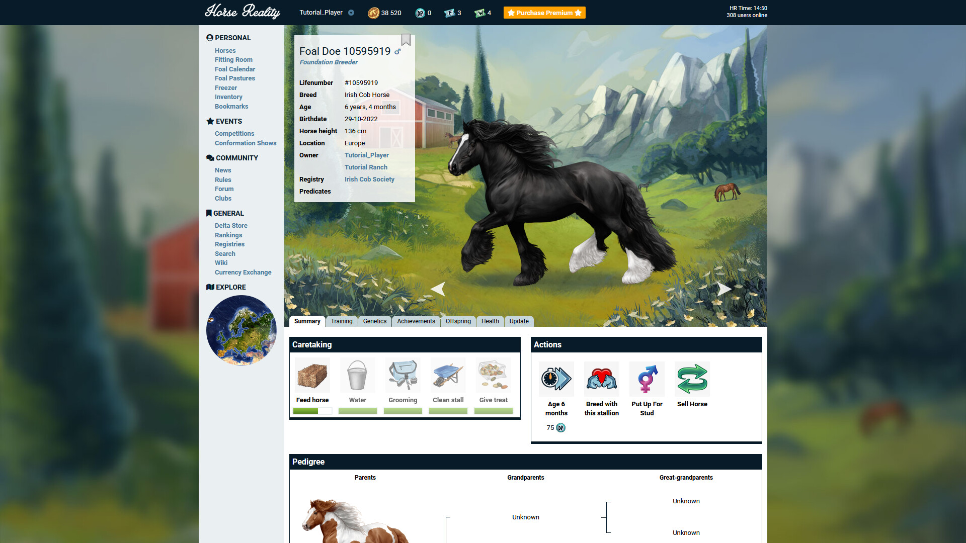 Horse Reality screenshot 2