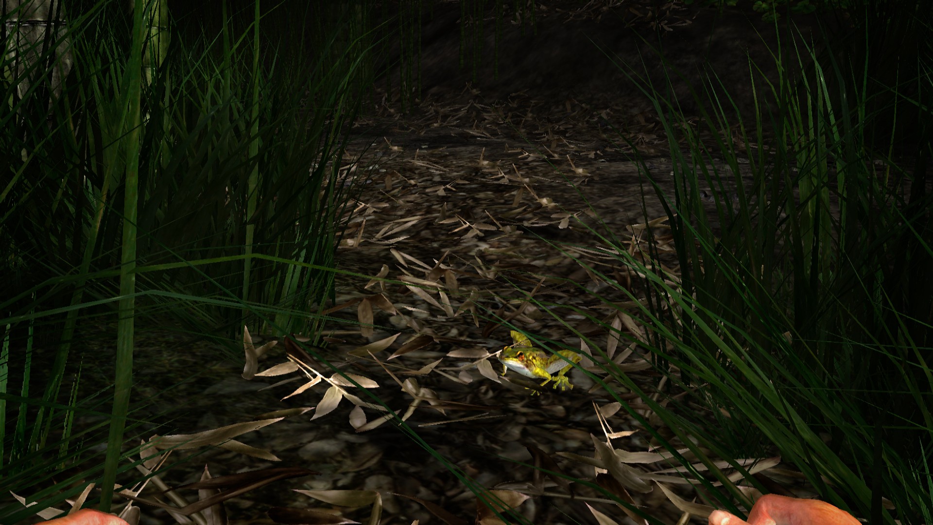 Miasmata screenshot 12
