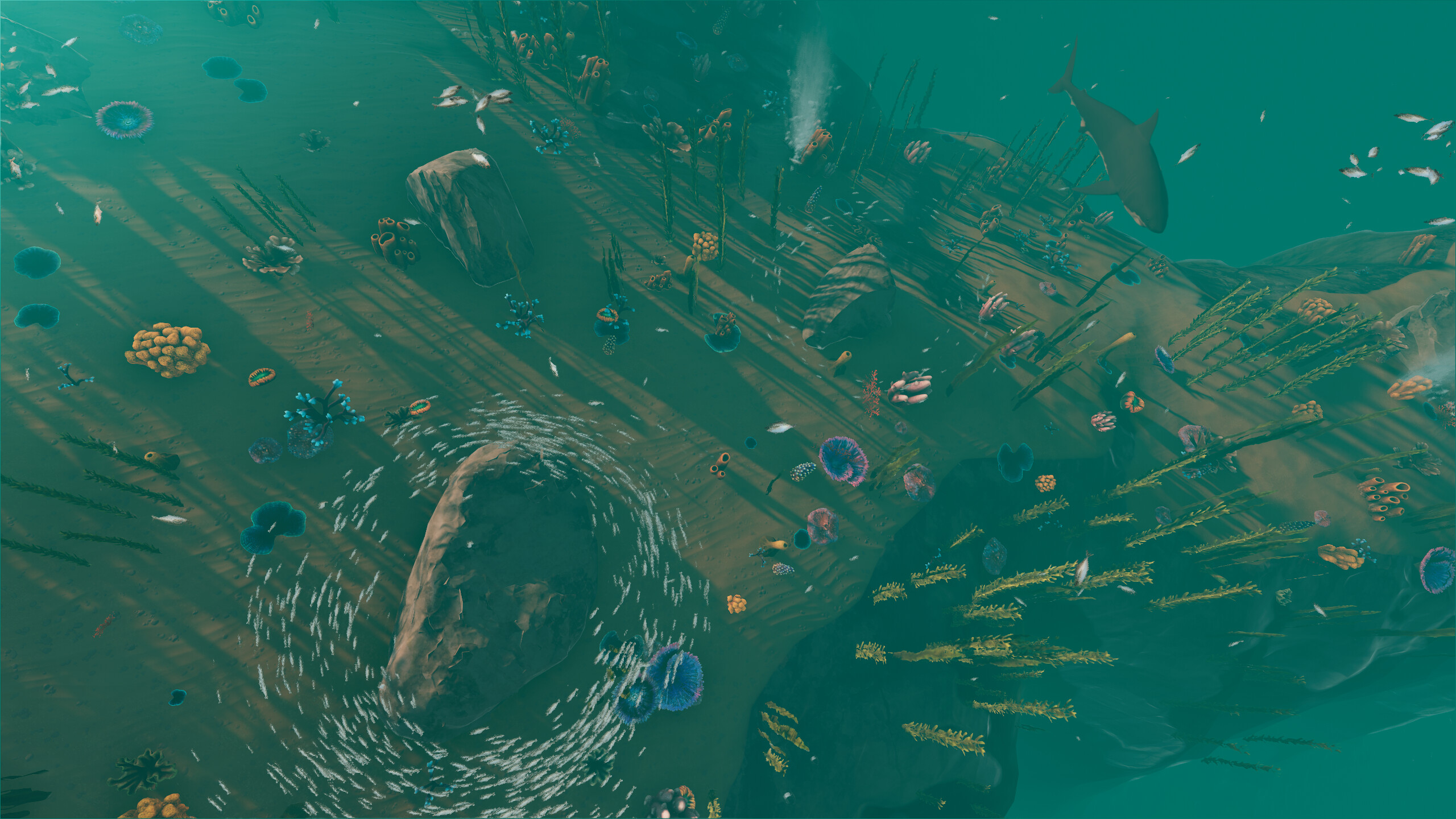 Bucko screenshot 11