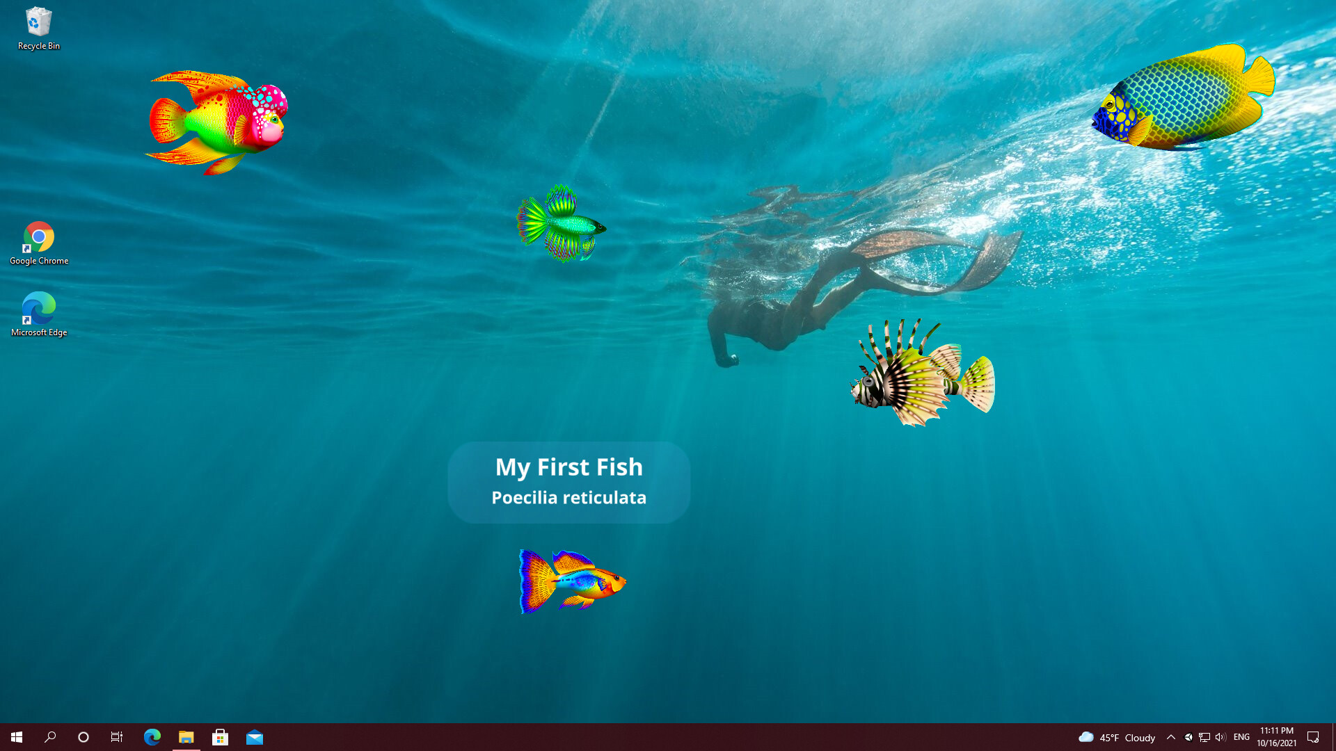 Virtual Aquarium - DLC Pack 5 screenshot 1