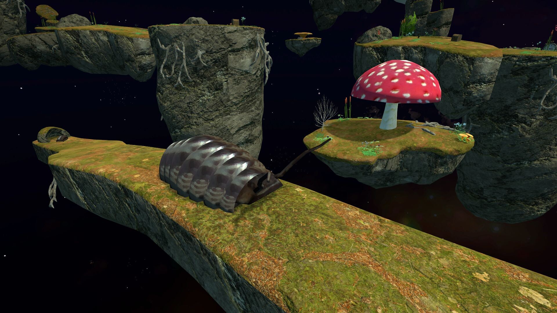Ecto screenshot 7