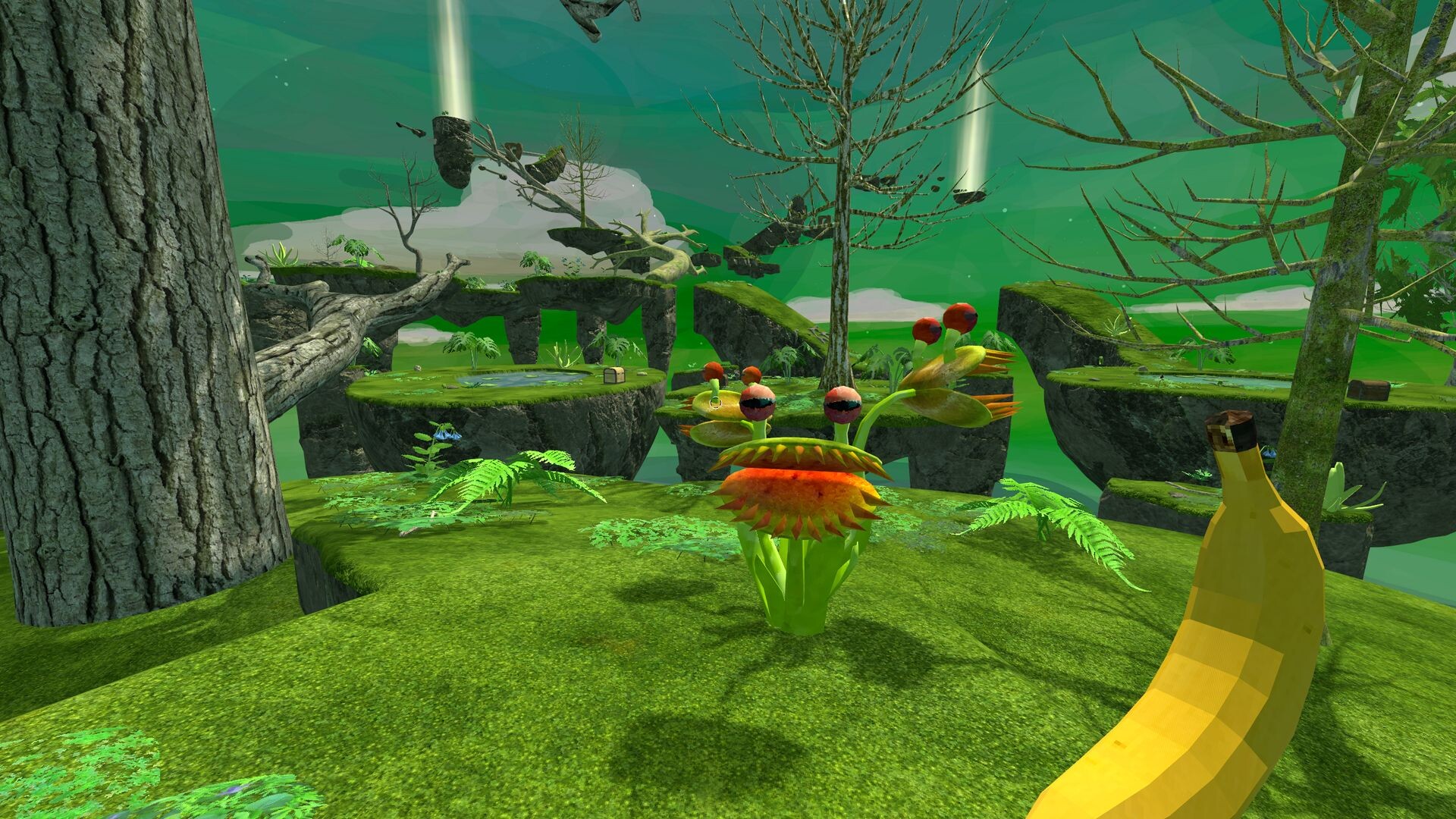 Ecto screenshot 11