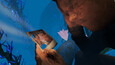 A screenshot of Mind Diver