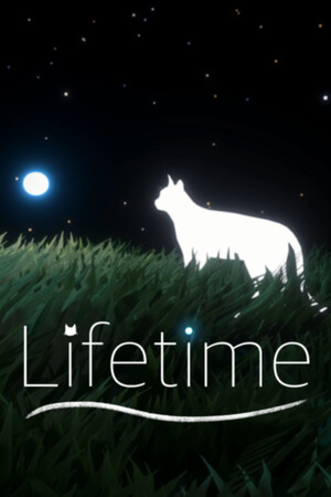Lifetime