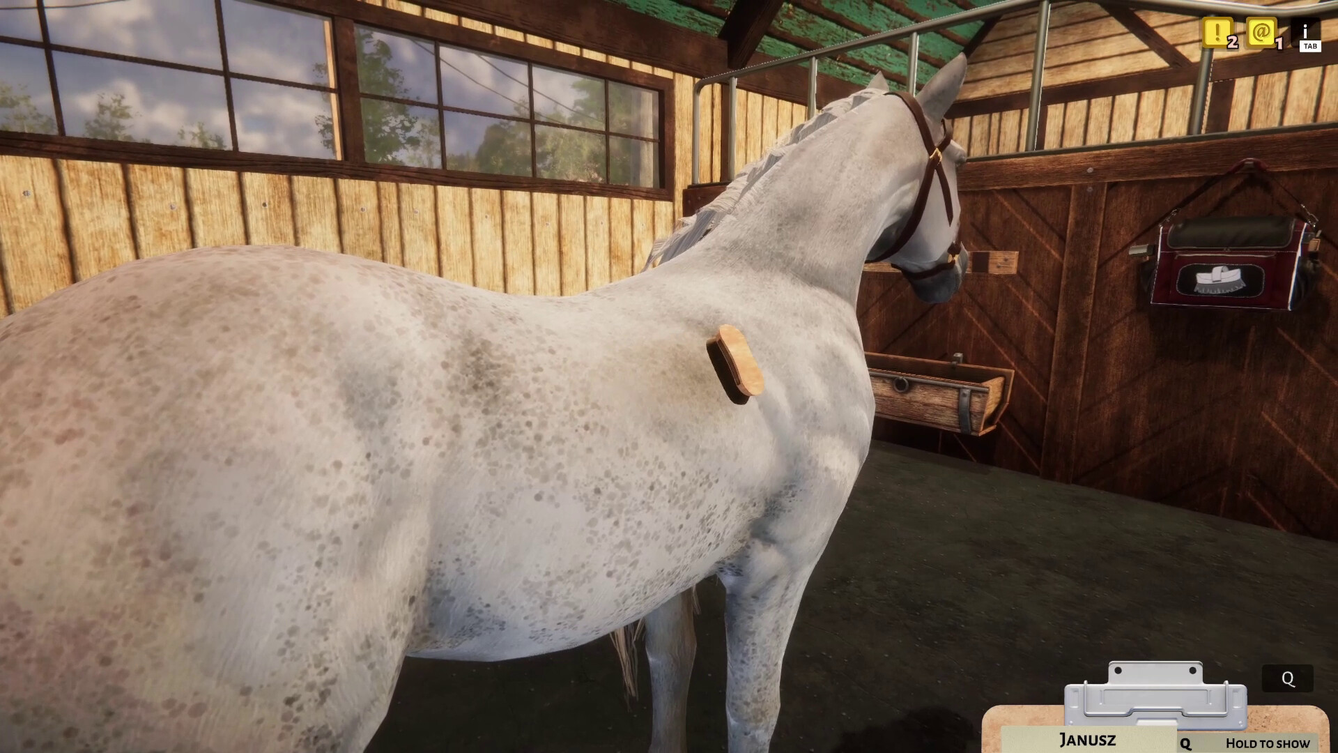 Animal Shelter - Horse Shelter DLC screenshot 12