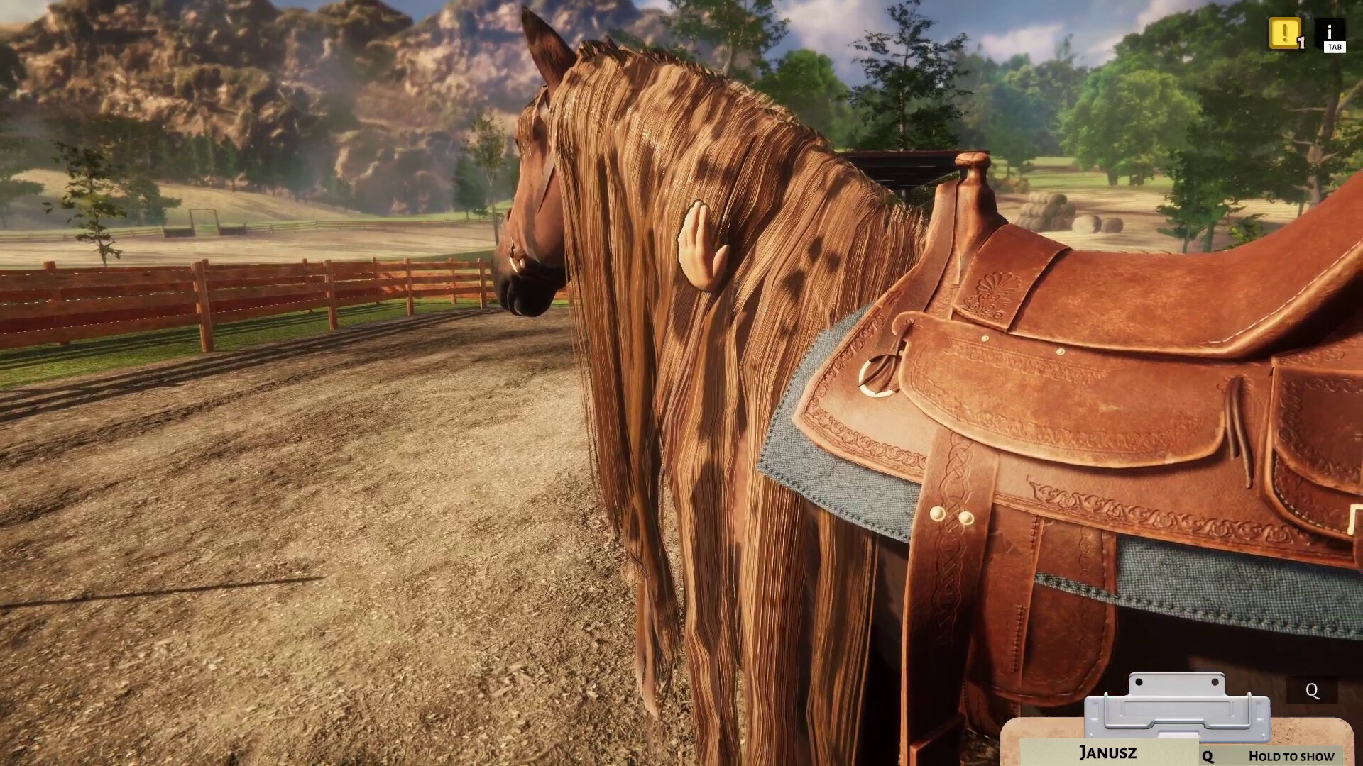 Animal Shelter - Horse Shelter DLC screenshot 1