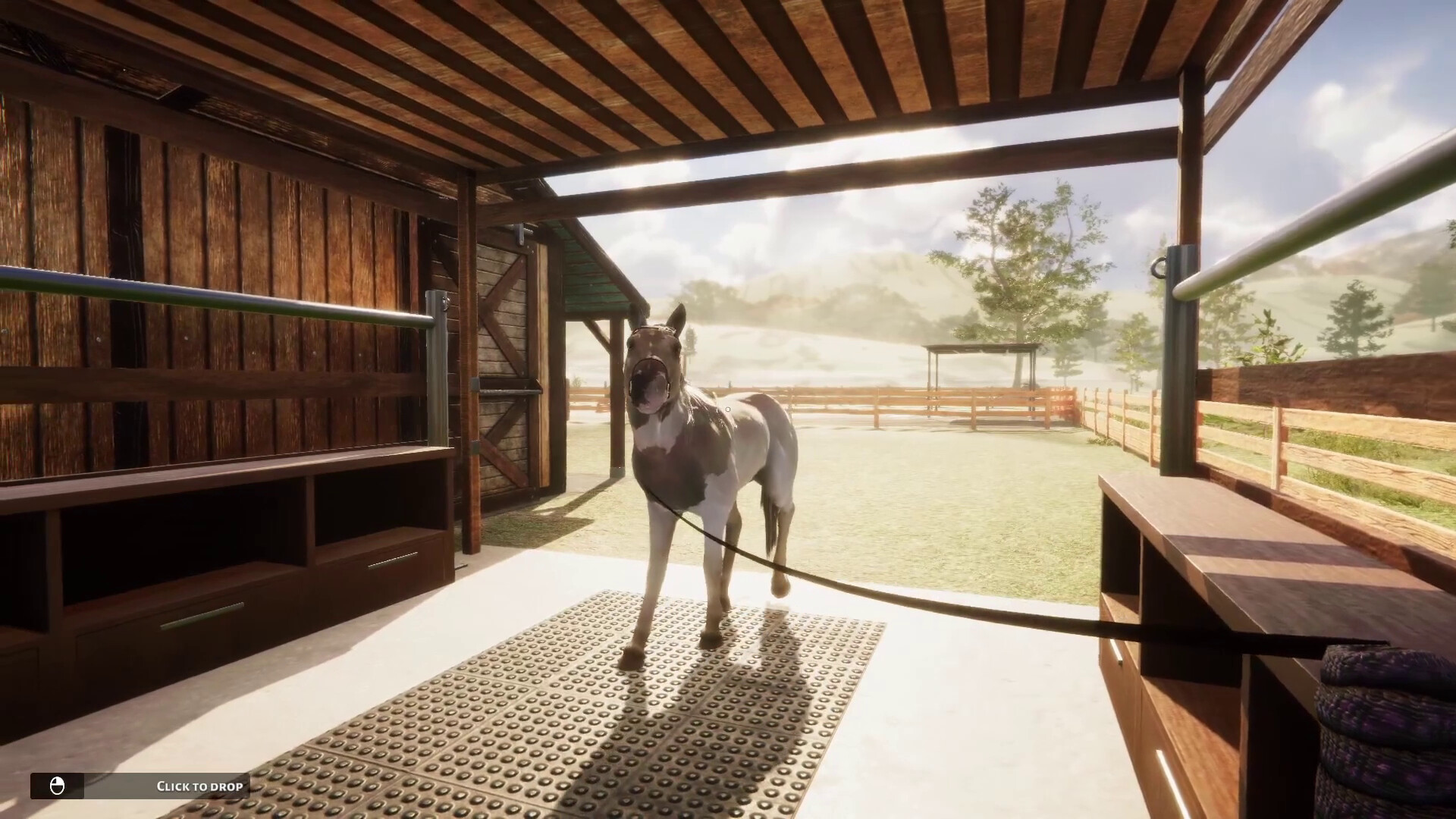 Animal Shelter - Horse Shelter DLC screenshot 5