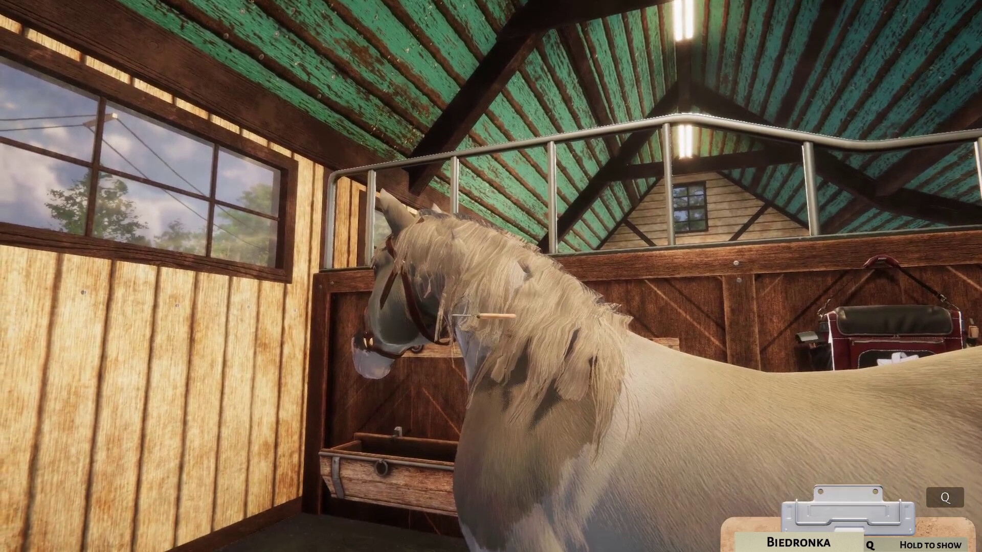 Animal Shelter - Horse Shelter DLC screenshot 10